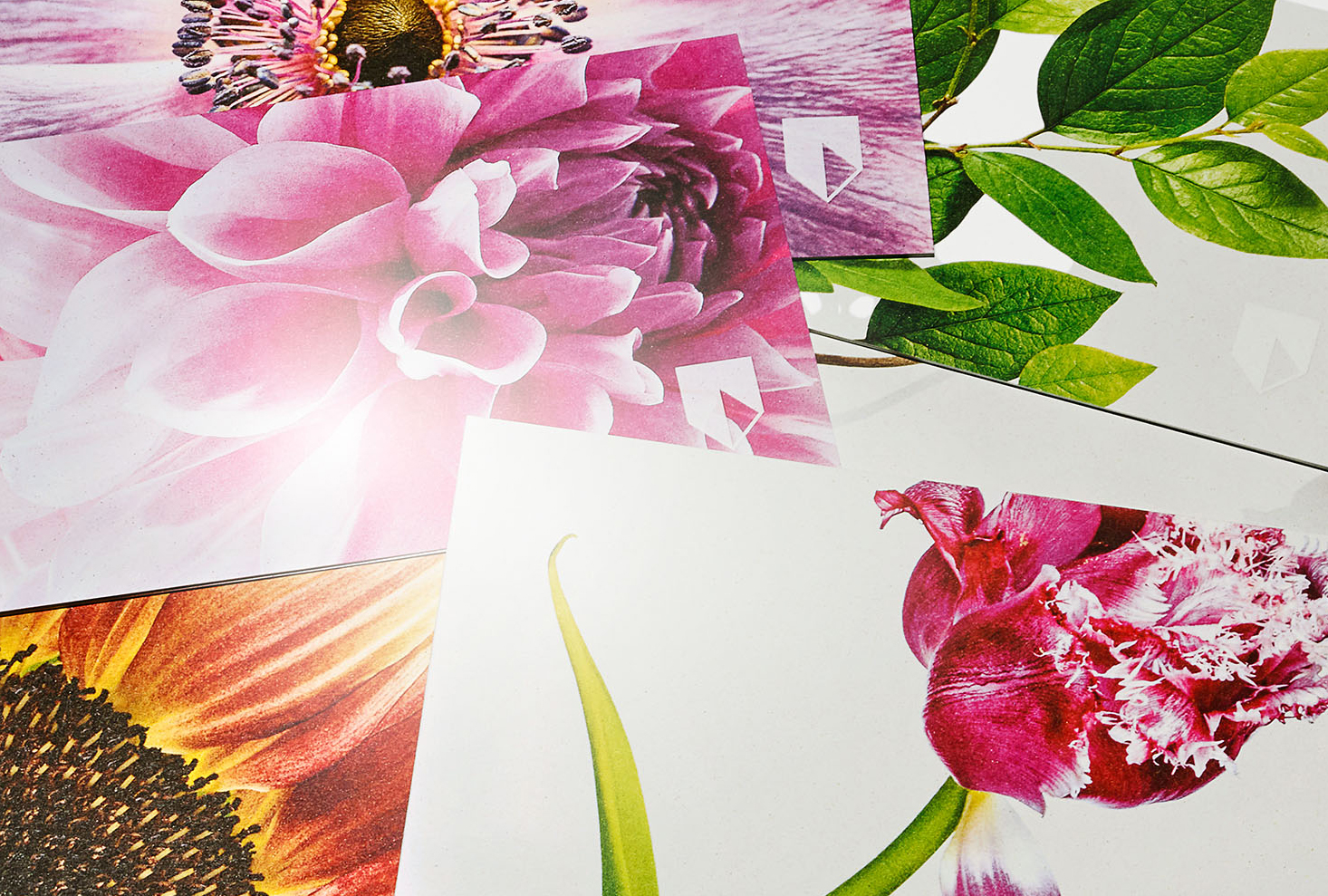 Bernd Vollmöller Kommunikationsdesign