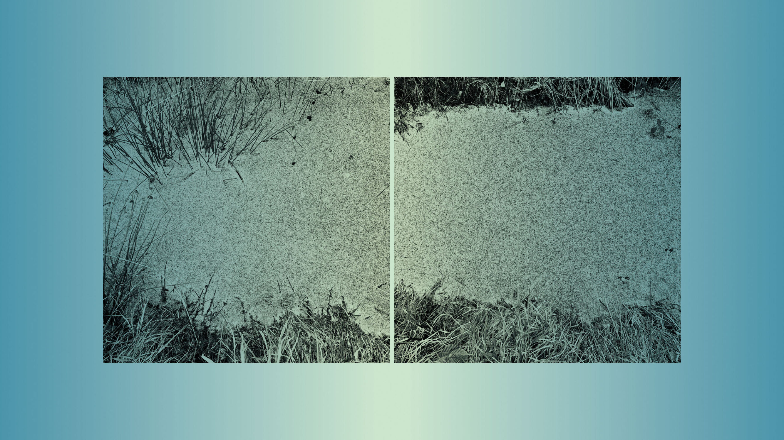 Bernd Vollmöller Kommunikationsdesign