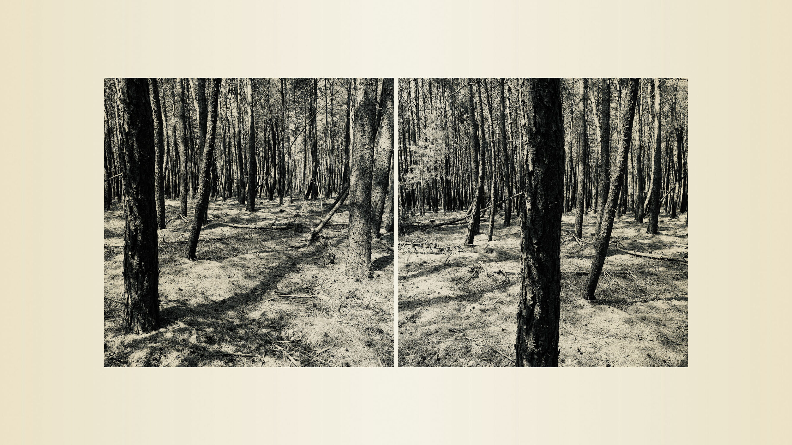 Bernd Vollmöller Kommunikationsdesign