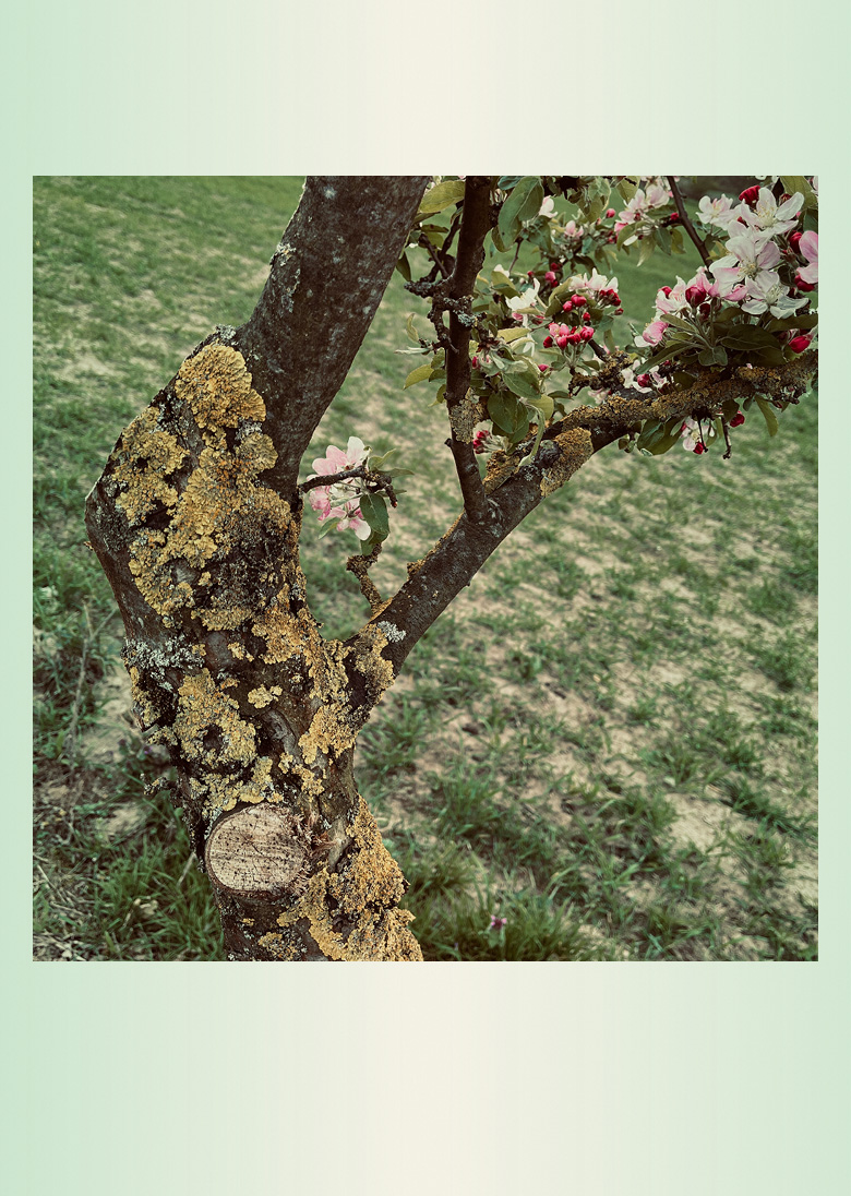 Bernd Vollmöller Kommunikationsdesign