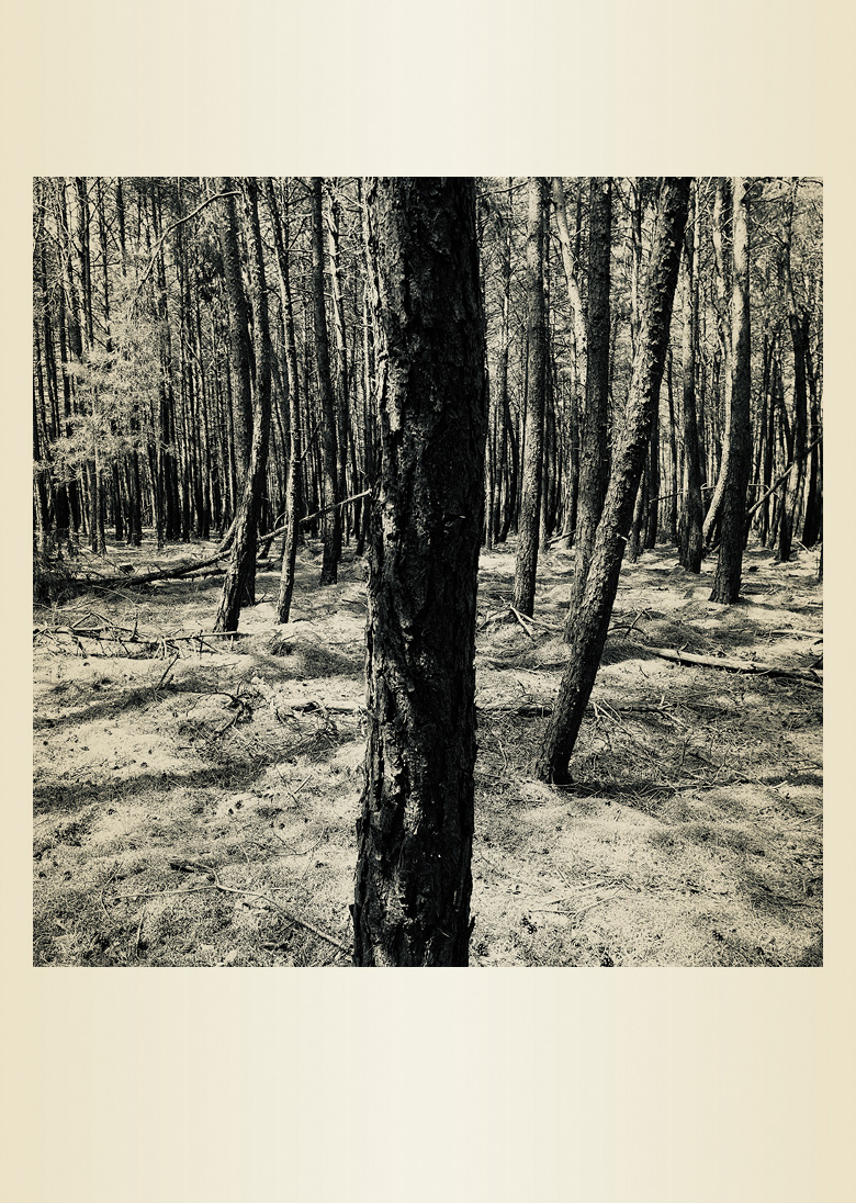 Bernd Vollmöller Kommunikationsdesign