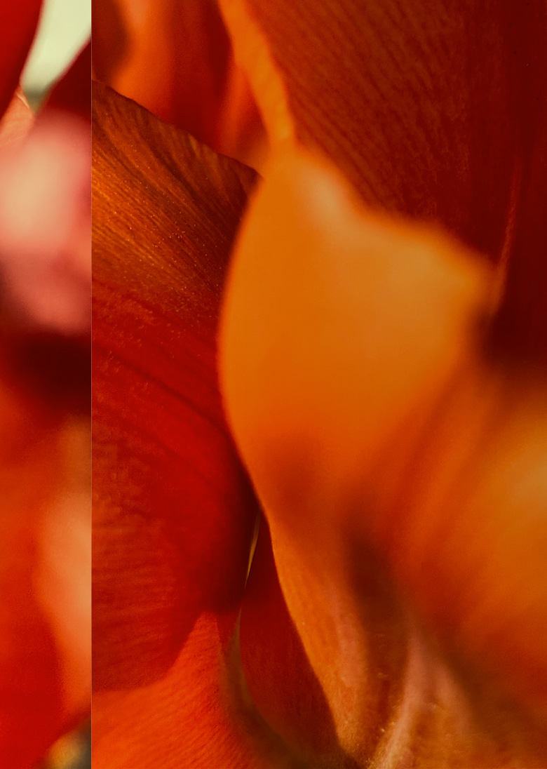 Bernd Vollmöller Kommunikationsdesign