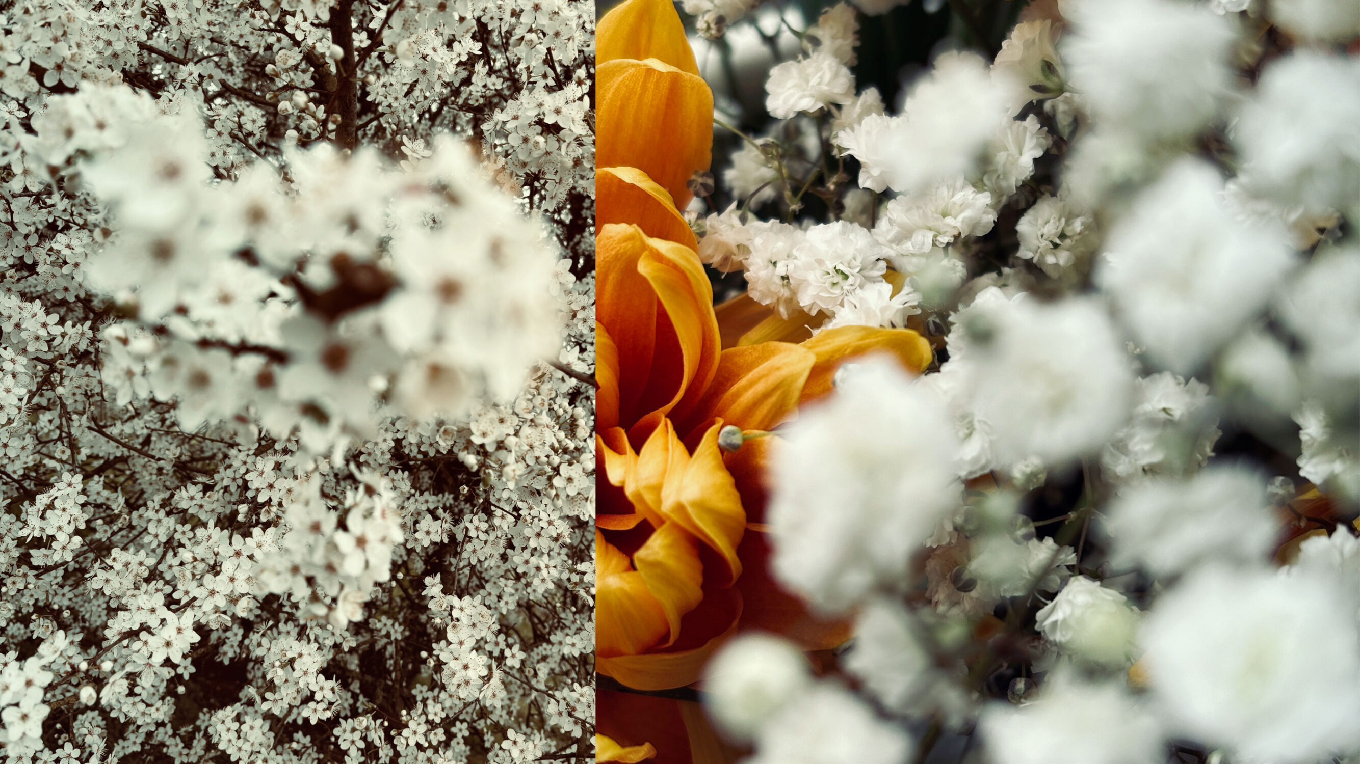 Bernd Vollmöller Kommunikationsdesign