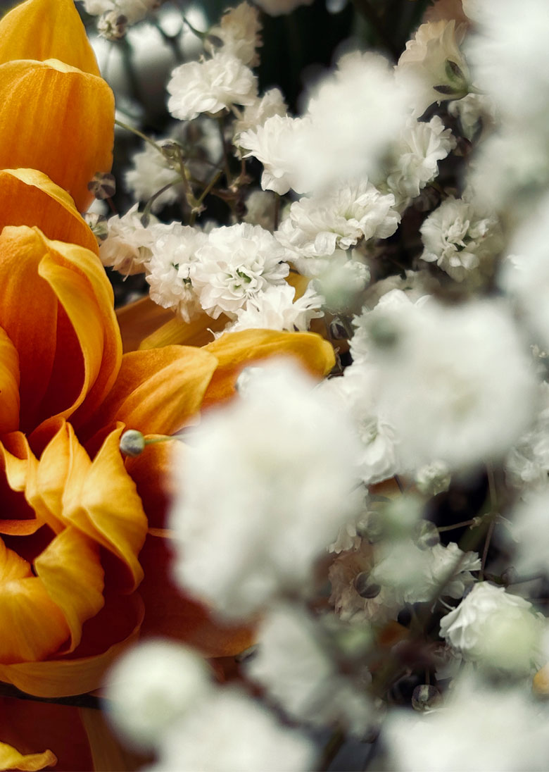 Bernd Vollmöller Kommunikationsdesign